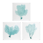 Imax Worldwide Home Sea Fan Acrylic Floating Wall Art - Set of 3