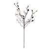 Kalalou CSL2274 Botanica #2274