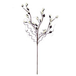 Kalalou CSL2274 Botanica #2274