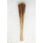 Kalalou NTRP1031 Bundle of 50 Dried Miniature Cattails