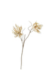 Kalalou CSL1298 Botanica #2298