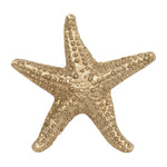 Sagebrook Home 17832 Metal, 15", Texture Star Fish Deco, Champagne