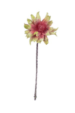 Kalalou CLX2913 Botanica #1113