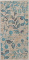 Nourison Tranquil Contemporary Ivory/Turquoise Area Rug