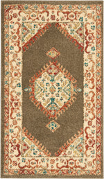 Nourison Traditional Vintage Traditional Brown Area Rug