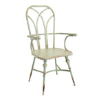 IMAX Worldwide Home Georgette Metal Arm Chair