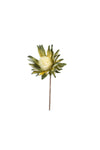 Kalalou CLX2721 Botanica #921