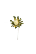 Kalalou CLX2721 Botanica #921