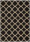 Nourison Grafix Transitional Black Area Rug