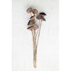 Kalalou NTRP1046 10 Piece Bundle Natural Lotus Pods on Twigs