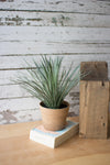 Kalalou CYF1255 Small Artificial Grass In A Plastic Pot