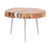 Imax Worldwide Home SG Sahni Wood and Aluminum Accent Table