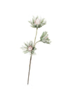 Kalalou CLX2723 Botanica #923