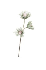 Kalalou CLX2723 Botanica #923