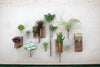 Kalalou CYF1011 Artificial Pledge Succulent