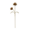 Kalalou CSL2383 Botanica #2383