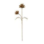 Kalalou CSL2383 Botanica #2383