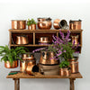 IMAX Worldwide Home 15-Piece Old Copper Planter Assortment