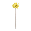 Kalalou CLX3140 Botanica #3140