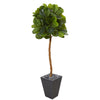 Nearly Natural T1122 5.5' Artificial Green Real Touch Fiddle Leaf Tree in Slate Planter 