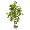 Nearly Natural 8335 4' Artificial Green Schefflera Bonsai Plant in Planter