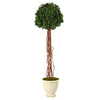 Nearly Natural T2182 70” English Single Ball Artificial Topiary Tree in Decorative Urn