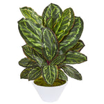 Nearly Natural 8412 26" Artificial Green Maranta Plant in White Vase