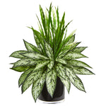 Nearly Natural 8418 20" Artificial Green Silver Queen & Grass Plant in Black Vase