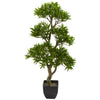 Nearly Natural 5553 37" Artificial Green Bonsai Styled Podocarpus Tree