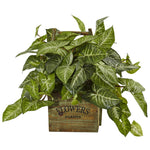 Nearly Natural 6324 17" Artificial Green Nephthytis Plant in Wood Box Planter