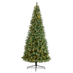 Nearly Natural T3051 10’ Snow Artificial Christmas Tree with 1050 Lights