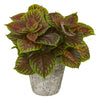 Nearly Natural 8504 14" Artificial Green & Brown Coleus Plant in Weathered Oak Planter