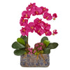 Nearly Natural Phalaenopsis Orchid Artificial Arrangement in Ceramic Vase