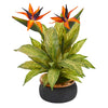 Nearly Natural A1178 20" Artificial Green & Orange Bird of Paradise & Musa Leaf Arrangement in Stoneware Bowl