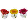 Nearly Natural 1518-S3 4" Artificial Gerbera Daisy Arrangement in Glass Vase, Set of 3