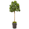 Nearly Natural 9575 6' Artificial Green Fiddle Leaf Fig Tree in Metal Planter