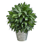 Nearly Natural P1613 34” Silver King Artificial Plant in Decorative Tin Bucket