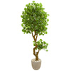 Nearly Natural 5682 6.5'  Artificial Green Jingo Tree in Sand Colored Planter, UV Resistant (Indoor/Outdoor)