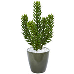 Nearly Natural 8756 25" Artificial Green Succulent Plant in Green Planter