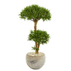 Nearly Natural 9238 39" Artificial Green Bonsai Styled Podocarpus Tree in Bowl Planter