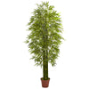 Nearly Natural 5433 7' Artificial Green Bamboo Tree, UV Resistant (Indoor/Outdoor)