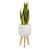 Nearly Natural P1384 3’ Sansevieria Artificial Plant in White Planter with Stands