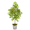 Nearly Natural 9873 55" Artificial Green Lemon Tree in Vintage Metal Pail