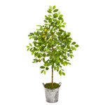 Nearly Natural 9873 55" Artificial Green Lemon Tree in Vintage Metal Pail