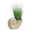 Nearly Natural P1557 21” Onion Grass Artificial Plant in Shell Shaped Planters
