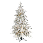 Nearly Natural 5` Flocked Grand Northern Rocky Fir Artificial Christmas Tree with 650 Warm Micro (Multifunction with Remote Control) LED Lights, Instant Connect Technology and 386 Bendable Branches