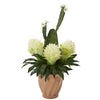 Nearly Natural P1076 27" Artificial Green & White Bromeliad & Cactus Plant in Terra-Cotta Planter