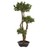 Nearly Natural 5556 46" Artificial Green Bonsai Styled Podocarpus Tree