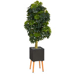 Nearly Natural T1385 70`` Schefflera Artificial Tree in Black Planter with Stand