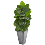 Nearly Natural 9279 63" Artificial Green Taro Plant in Tall Cement Planter